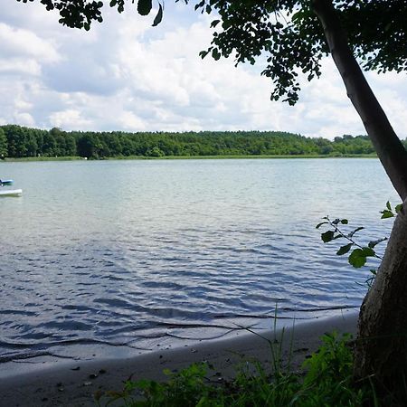 Ferienhaus Sonnenufer Rheinsberg Dış mekan fotoğraf